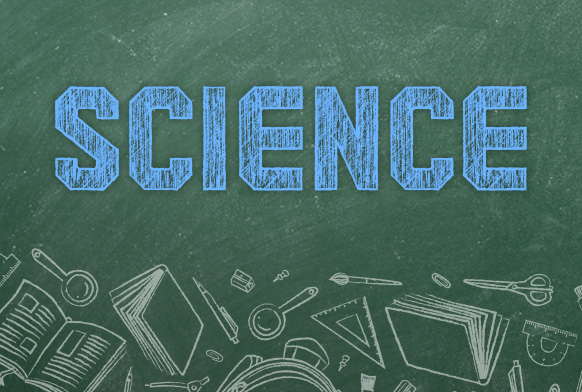 Play With Shadows and Puppets Play With Shadows and Puppets